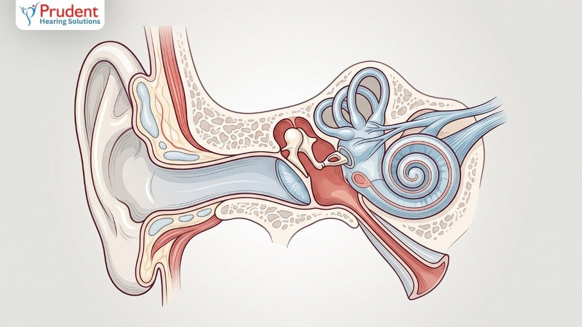 Tinnitus (Ringing in the Ears): Causes, When to Worry, and What Actually Helps